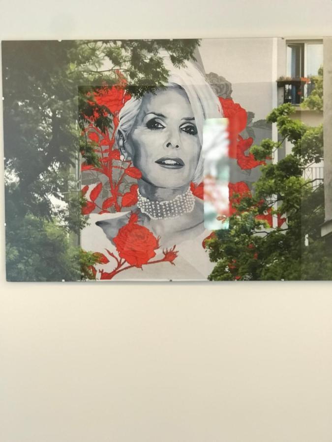 Apartamenty Mural Bílsko-Bělá Exteriér fotografie
